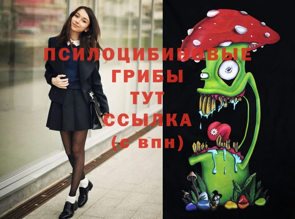 тгк Балахна
