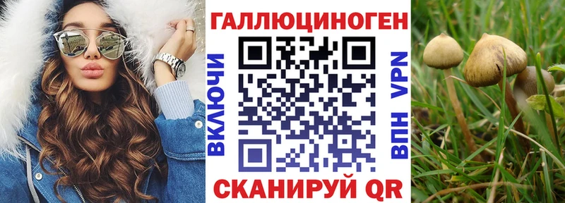 Галлюциногенные грибы прущие грибы  Заволжск 