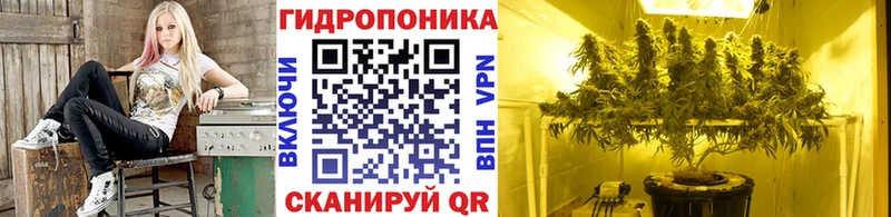 MEGA ссылка  Заволжск  Каннабис SATIVA & INDICA 
